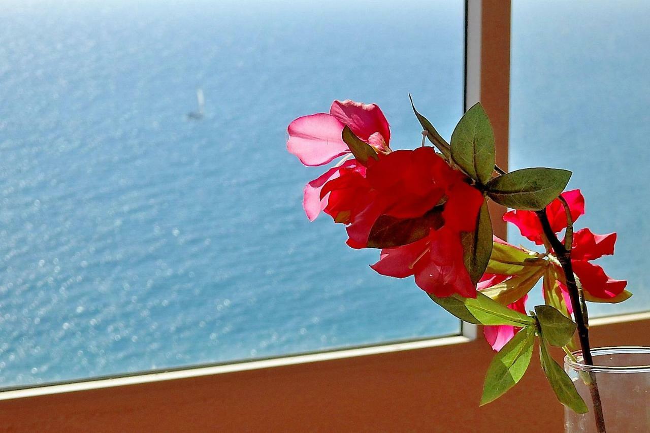 Apartamento Playa Cantara Alicante Eksteriør bilde